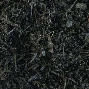A forest mulch