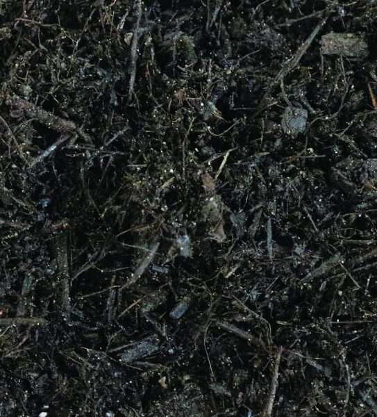 A forest mulch