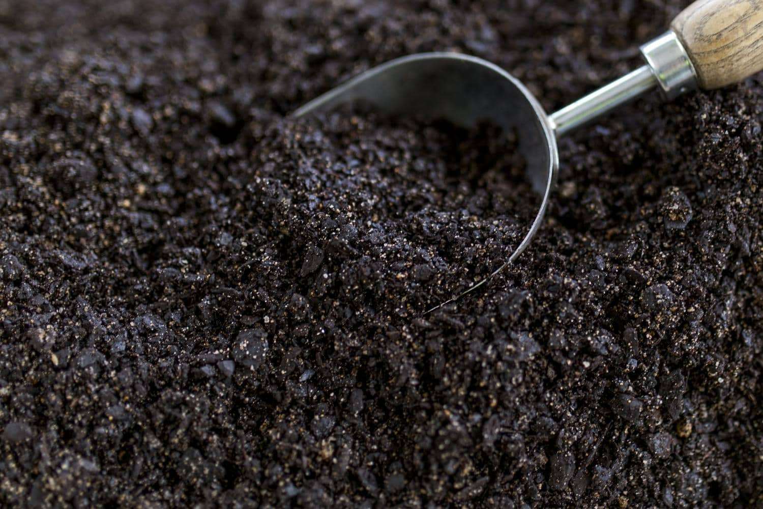 A P1 H40 Potting Mix in a shovel.