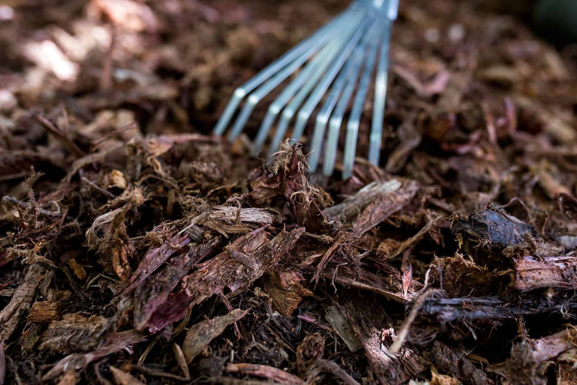 wood and gardening fork