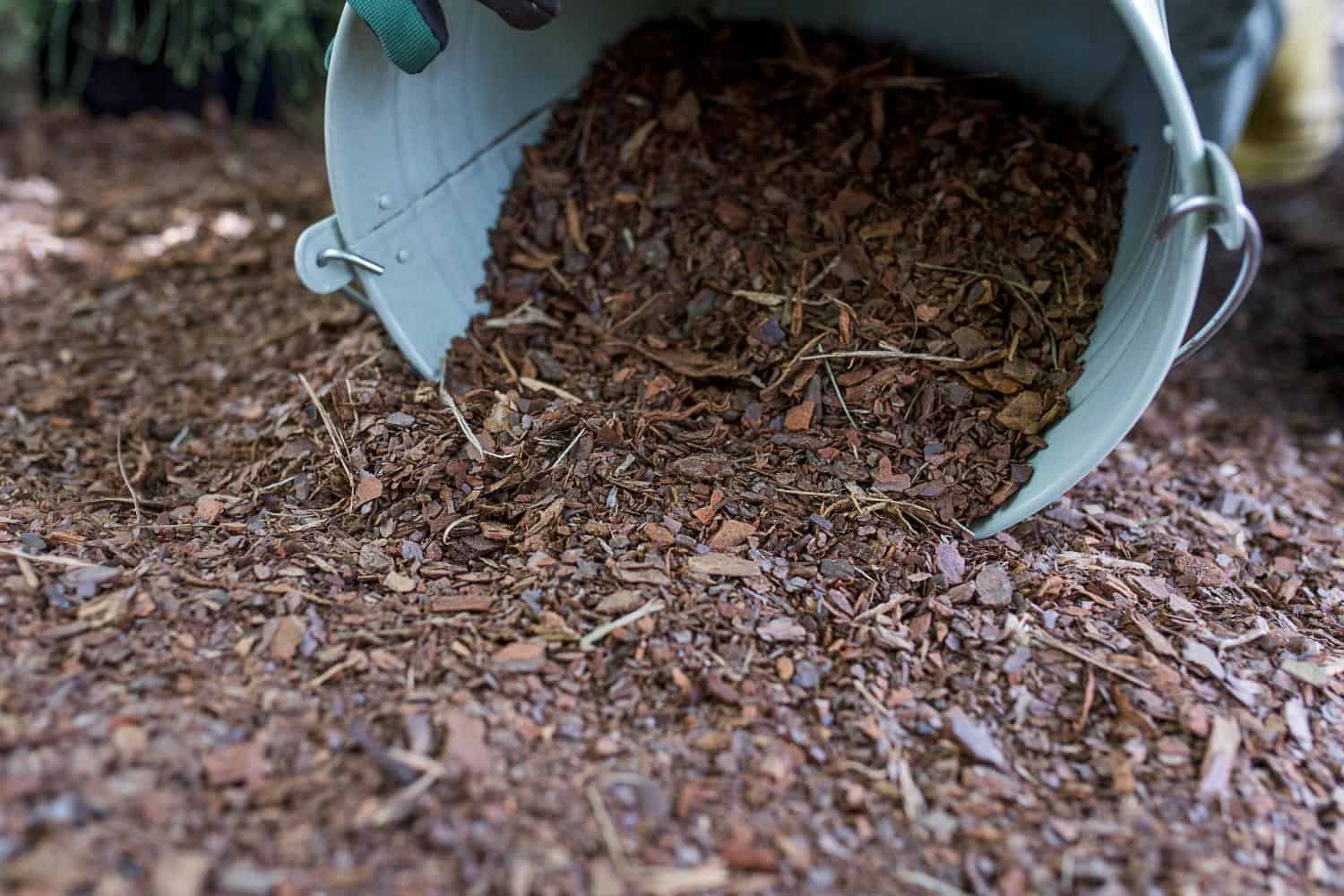 a human pouring fine wood