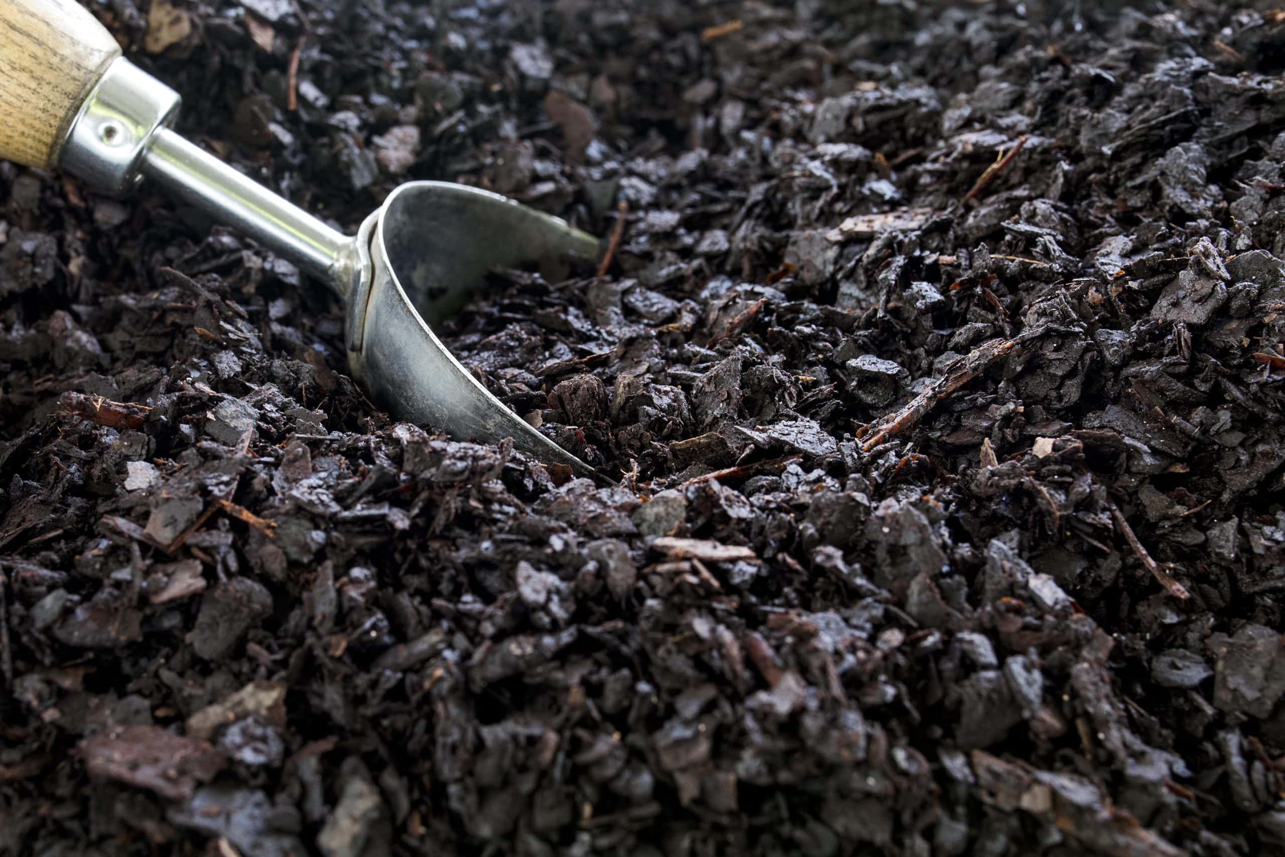 soil mixed with tiny woods and rocks