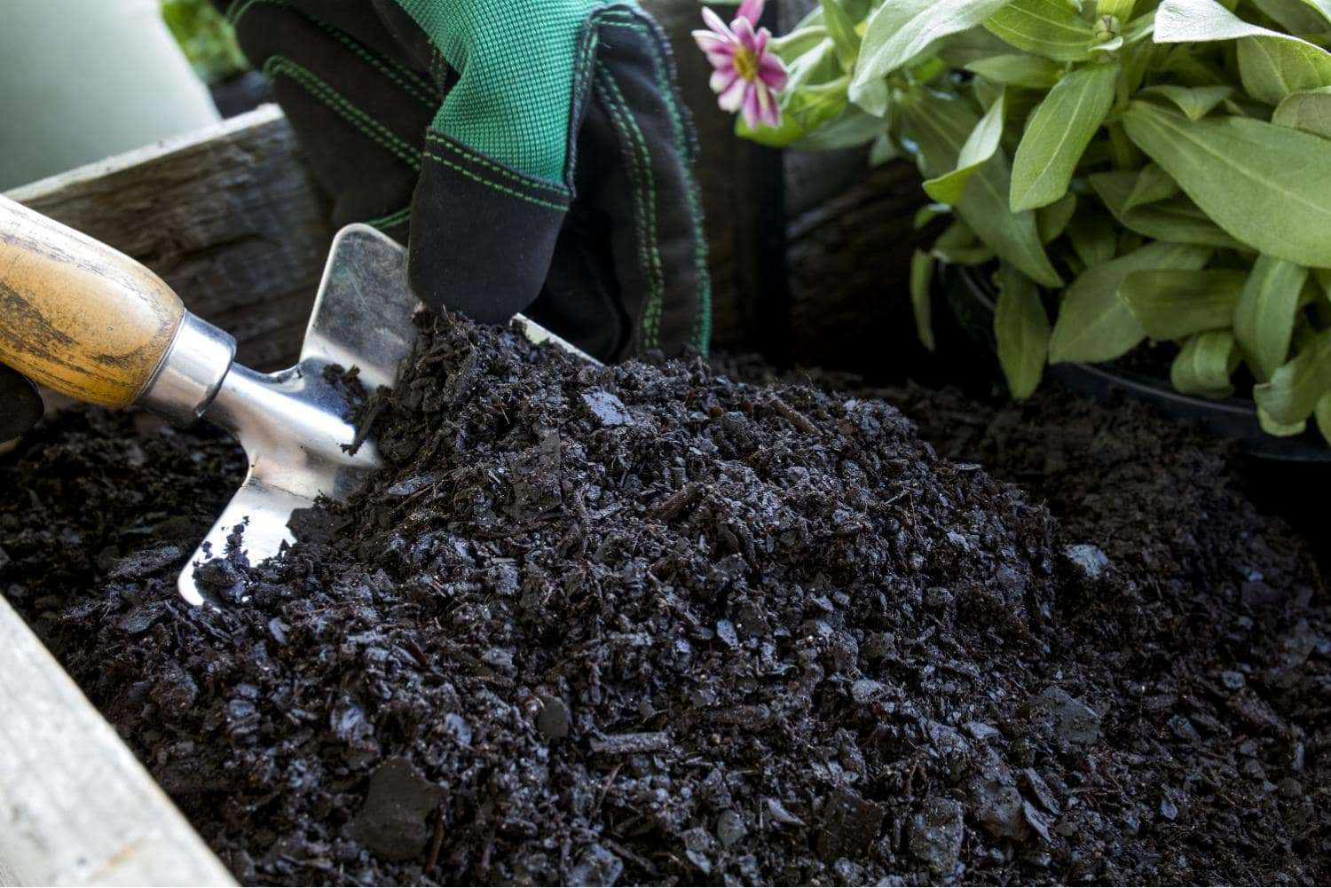 A person is digging P6 Earth Grow using a shovel.